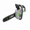 18 inch Chainsaw Hire in Canberra (Cordless)