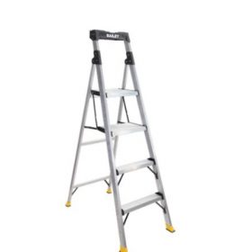 step twin ladder